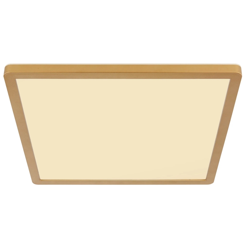 Globo - Plafoniera LED dimmerabile da bagno LED/18W/230V 3000K IP44 29,4x29,4 cm ottone