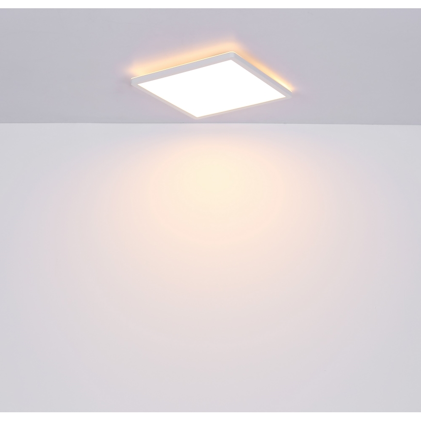 Globo - Plafoniera LED dimmerabile da bagno LED/18W/230V 29,4x29,4 cm IP44 bianco