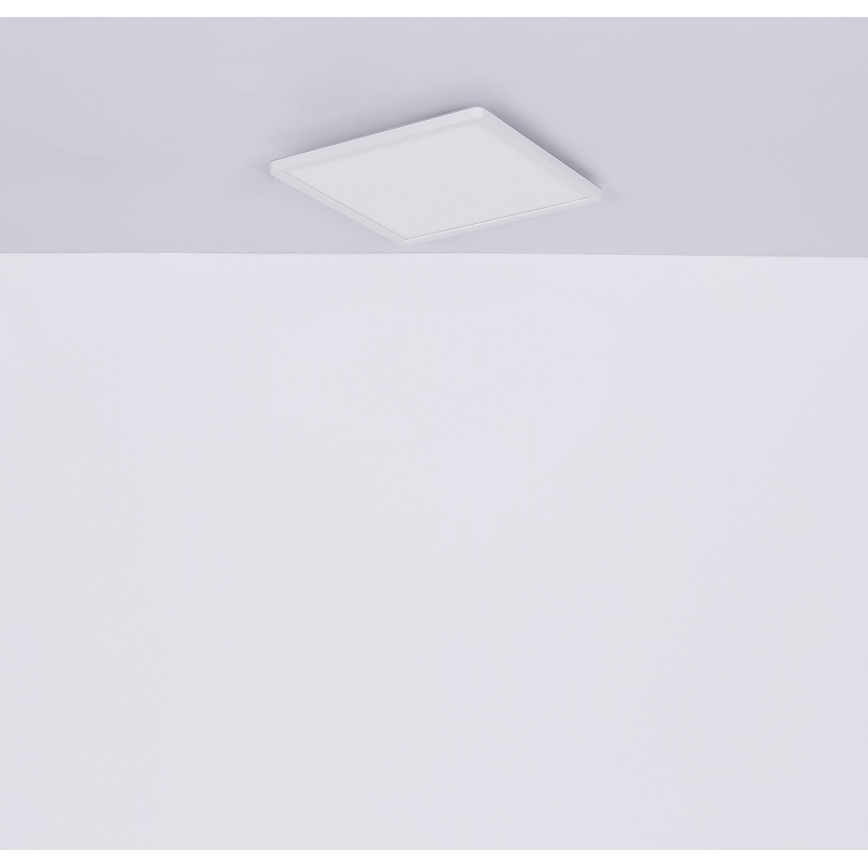 Globo - Plafonnier à intensité variable LED salle de bain LED/18W/230V 29,4x29,4 cm IP44 blanc