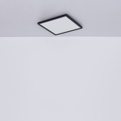 Globo - Plafoniera LED dimmerabile da bagno LED/24W/230V 42x42 cm IP44 nero