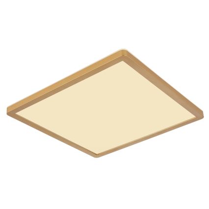 Globo - Plafoniera LED dimmerabile da bagno LED/24W/230V 3000K IP44 42x42 cm ottone