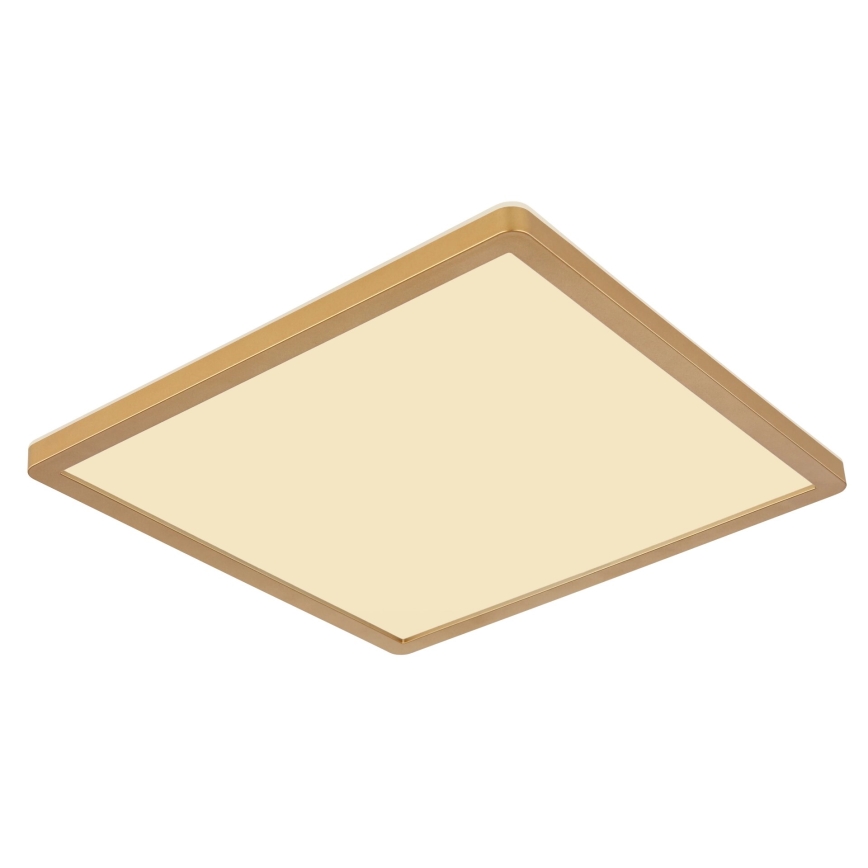 Globo - Plafoniera LED dimmerabile da bagno LED/24W/230V 3000K IP44 42x42 cm ottone