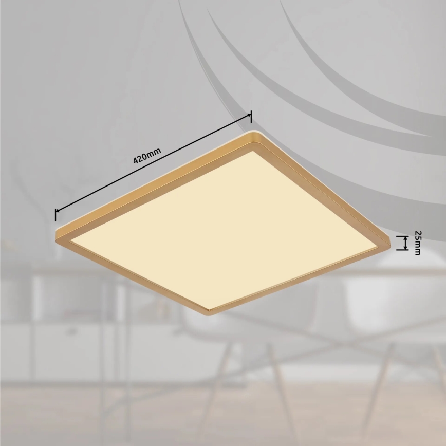 Globo - Plafoniera LED dimmerabile da bagno LED/24W/230V 3000K IP44 42x42 cm ottone