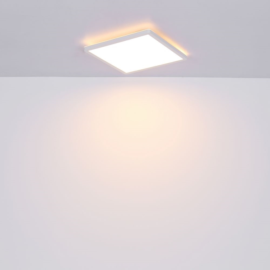Globo - Dimmbare LED-Deckenleuchte für das Badezimmer LED/24W/230V 42x42 cm IP44 weiß