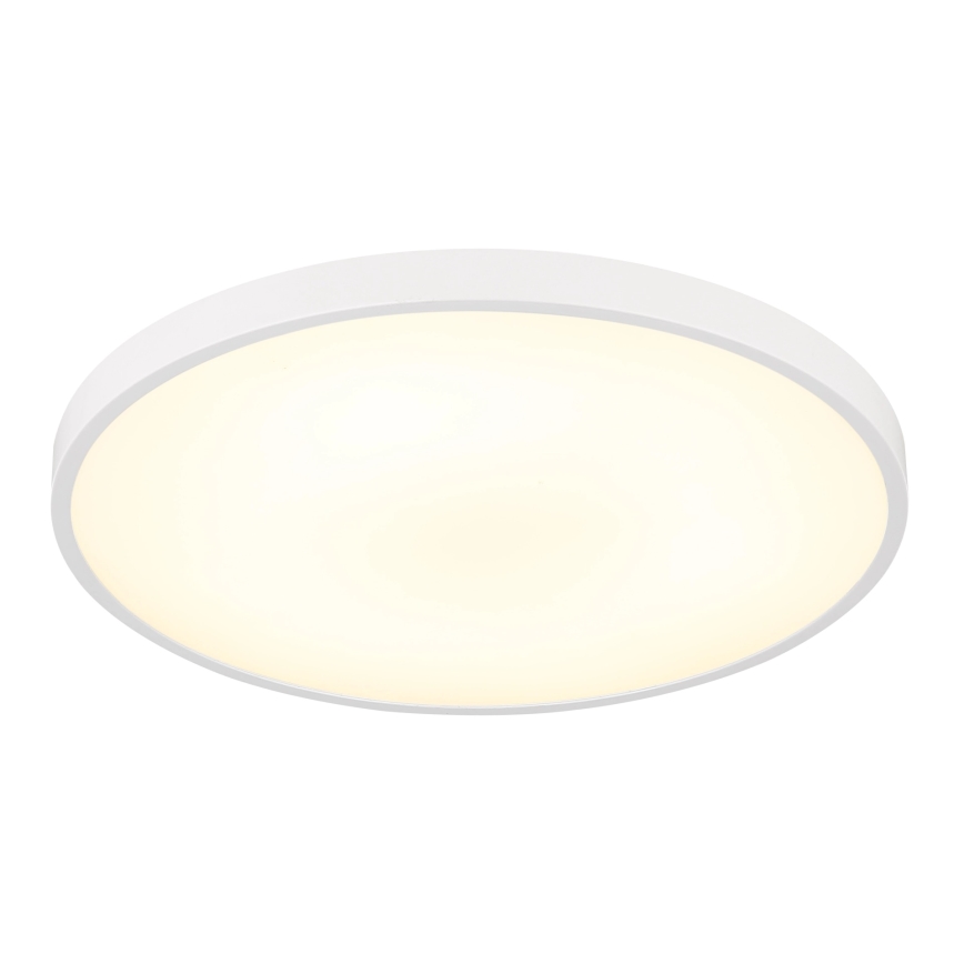 Globo - LED-Deckenleuchte LED/15W/230V 4000K Ø 23 cm weiß