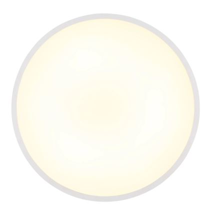 Globo - Plafonnier LED/15W/230V 4000K Ø 23 cm blanc
