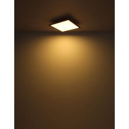 Globo - LED-Deckenleuchte LED/24W/230V