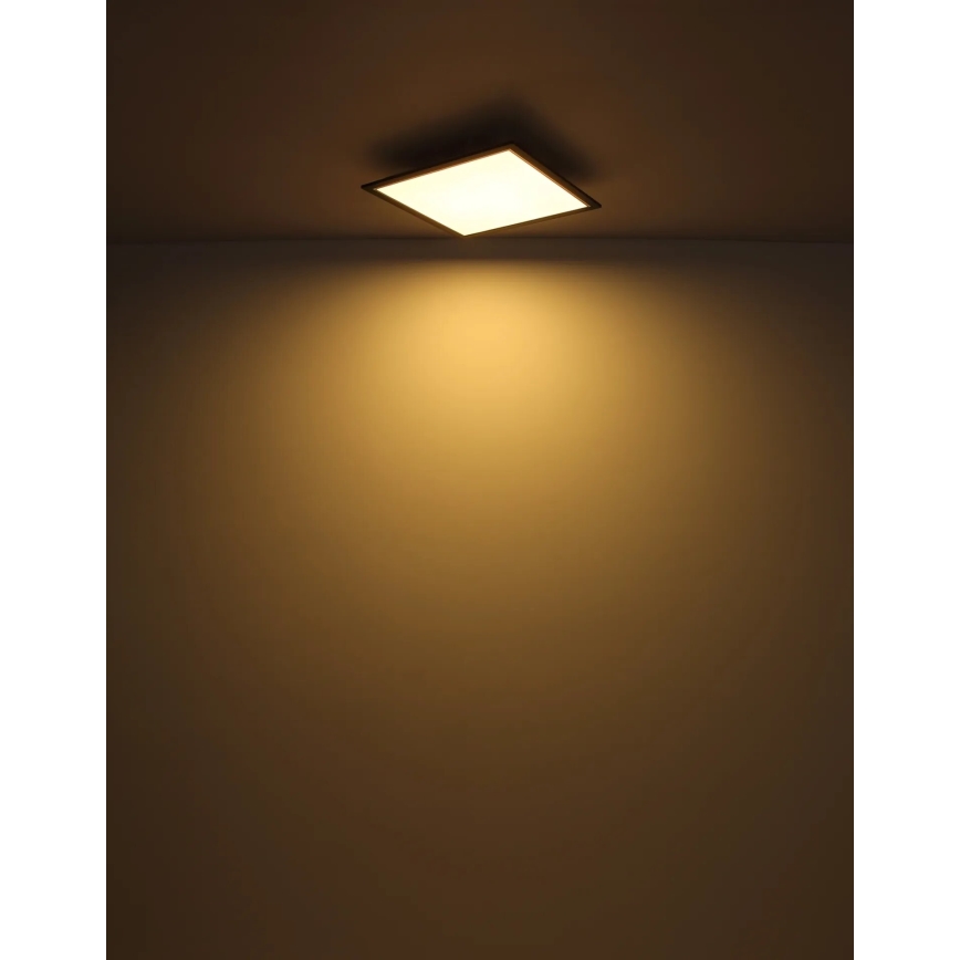 Globo - LED-Deckenleuchte LED/24W/230V