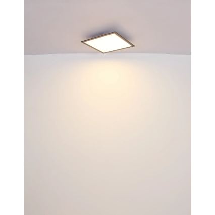 Globo - LED-Deckenleuchte LED/24W/230V
