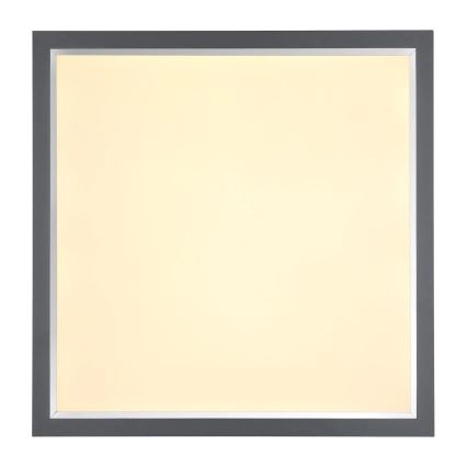 Globo - LED-Deckenleuchte LED/24W/230V