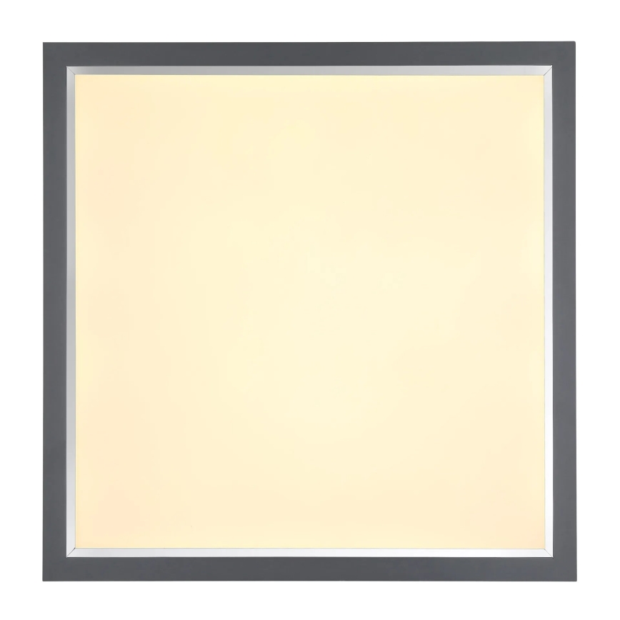 Globo - LED-Deckenleuchte LED/24W/230V