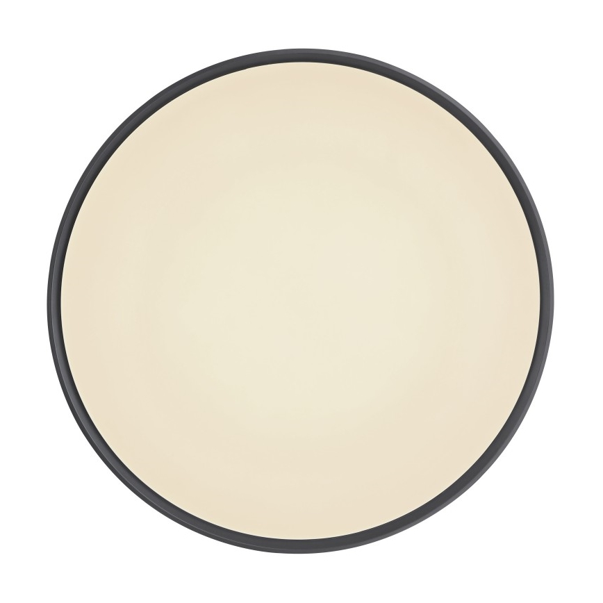 Globo - Plafoniera LED dimmerabile LED/24W/230V + telecomando