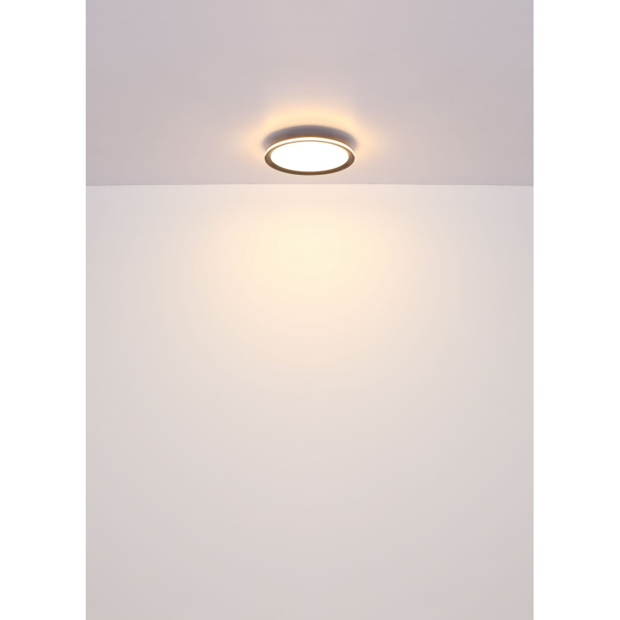 Globo - Plafoniera LED LED/58W/230V diametro 50 cm