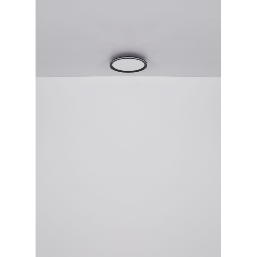 Globo - Plafoniera LED LED/58W/230V diametro 50 cm