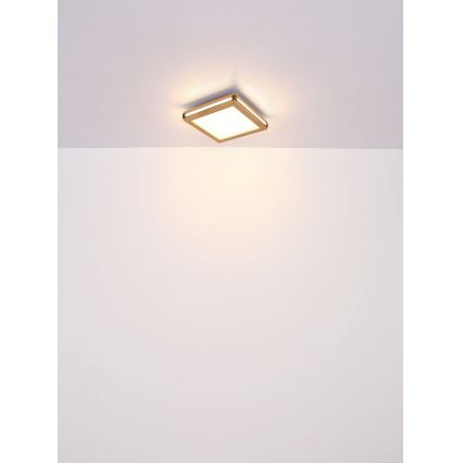 Globo - Plafonnier LED LED/12W/230V 30x30 cm