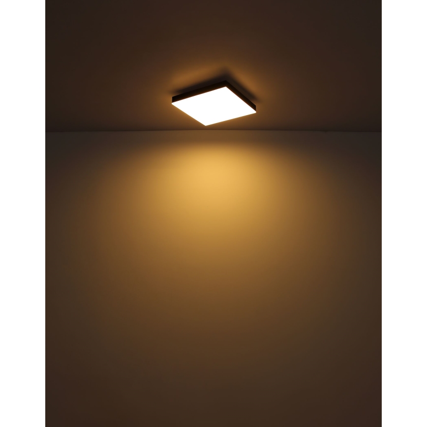Globo - Plafoniera LED dimmerabile LED/24W/230V 2700-6500K nero + telecomando