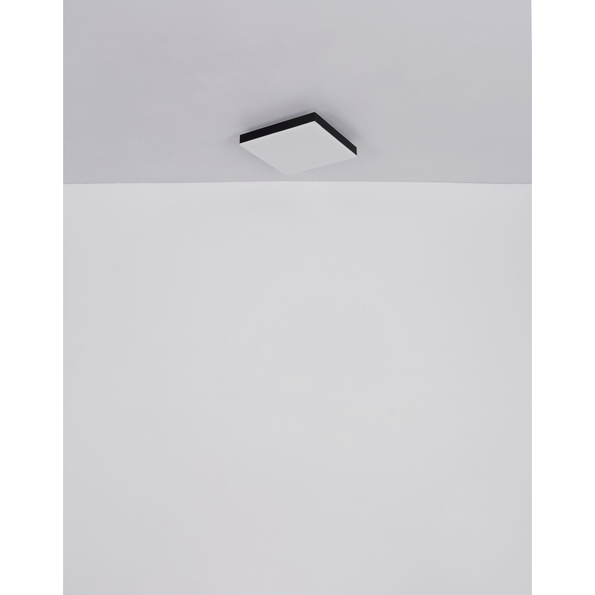 Globo - Plafoniera LED dimmerabile LED/24W/230V 2700-6500K nero + telecomando