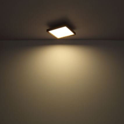 Globo - LED-Deckenleuchte LED/36W/230V 2700/4500/6500K 60x60 cm