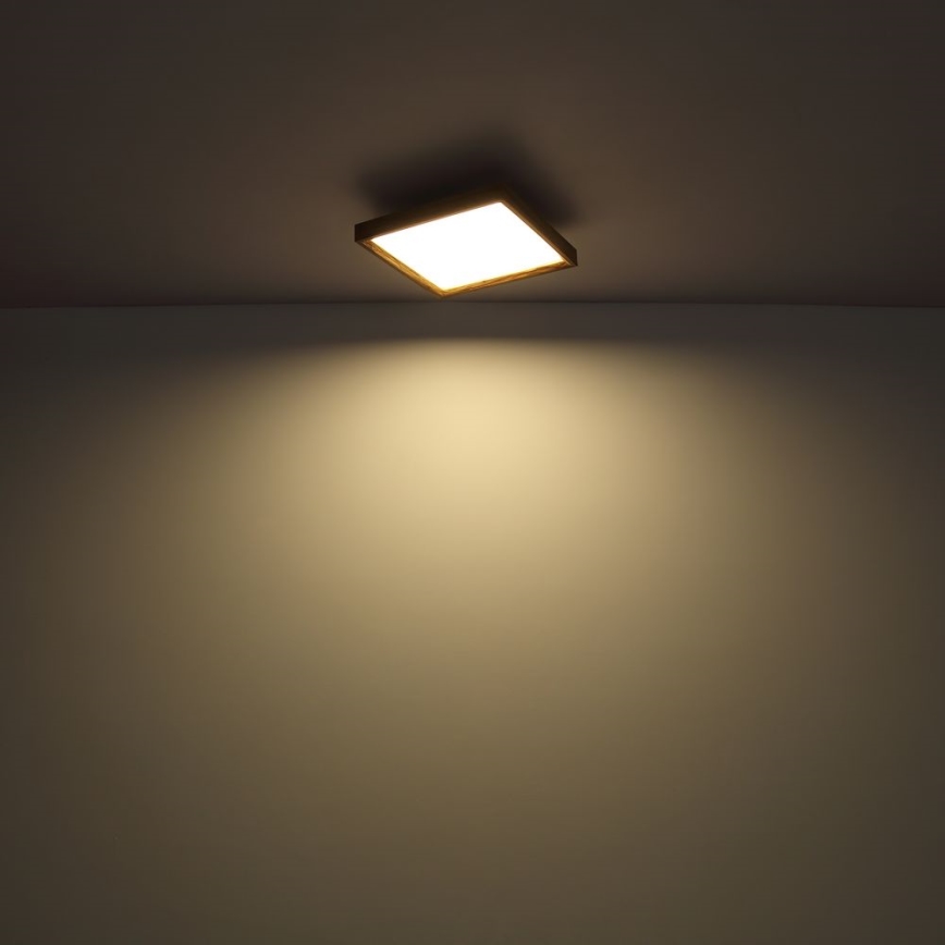 Globo - LED-Deckenleuchte LED/36W/230V 2700/4500/6500K 60x60 cm