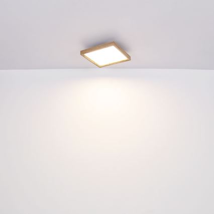 Globo - LED-Deckenleuchte LED/36W/230V 2700/4500/6500K 60x60 cm