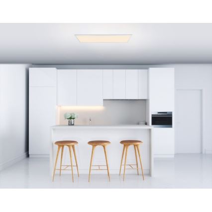 Globo – Panneau montage en surface LED/40W/230V