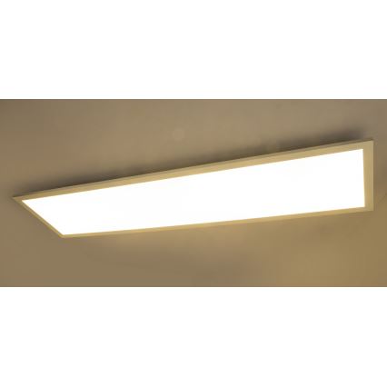 Globo – Panneau montage en surface LED/40W/230V