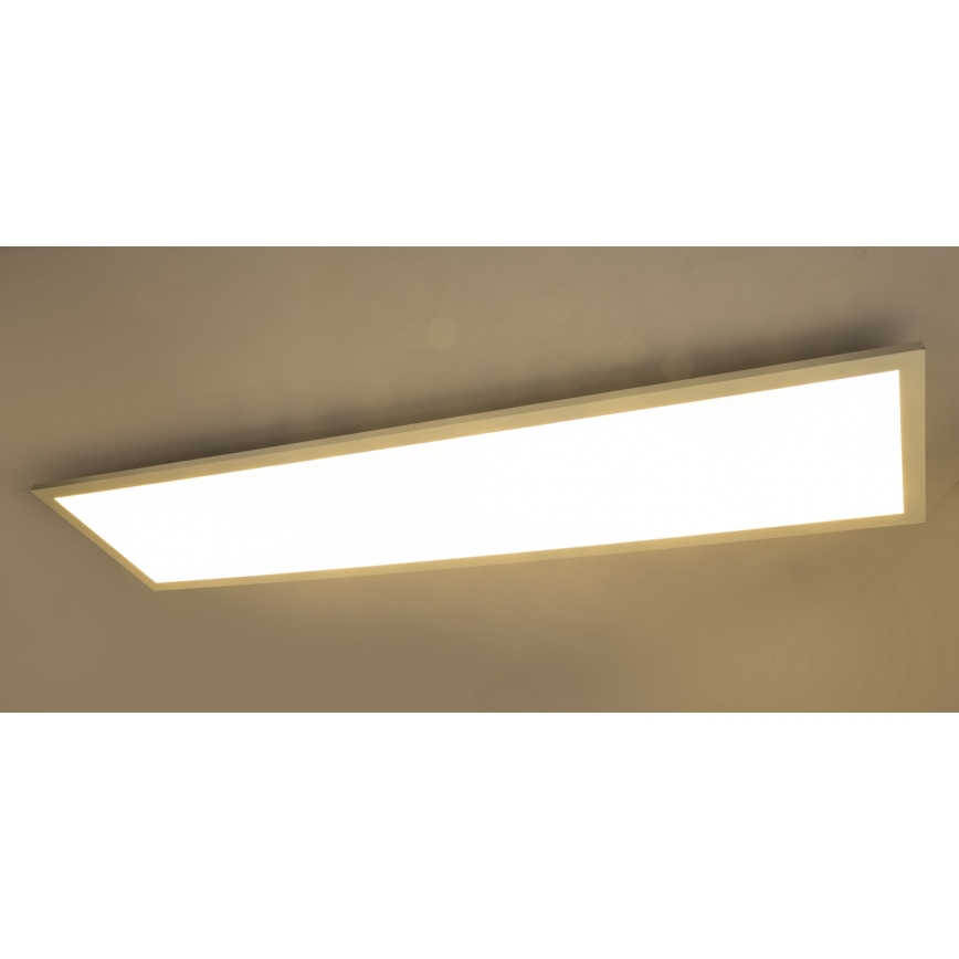 Globo – Panneau montage en surface LED/40W/230V
