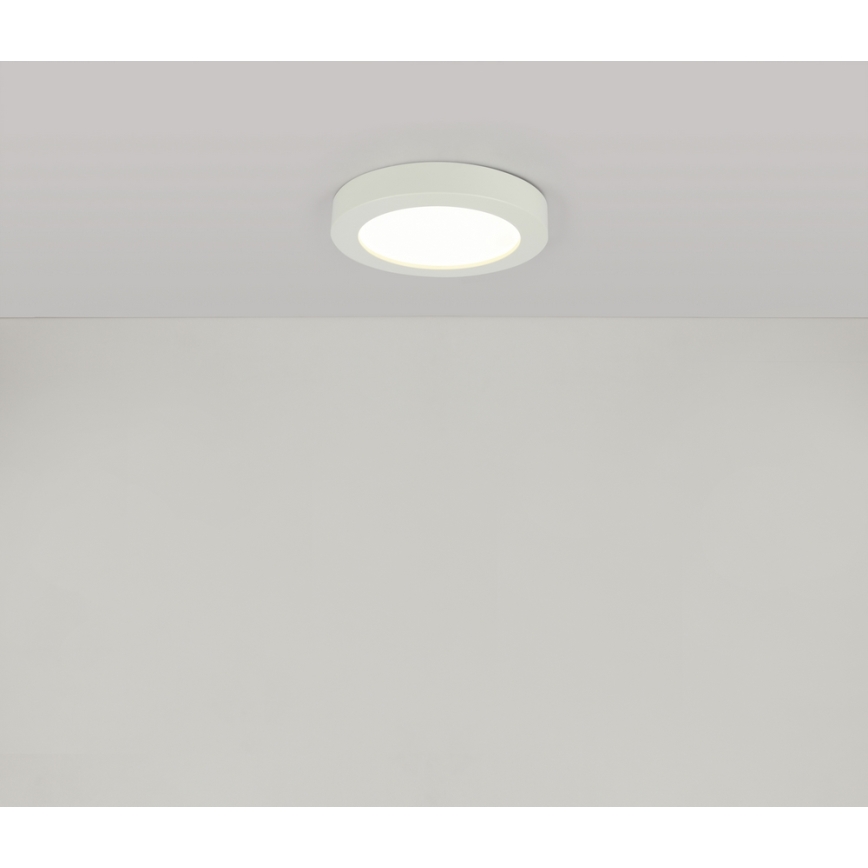GLOBO 41605-18 - Plafoniera LED da bagno PAULA 1xLED/18W/230V IP44