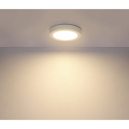 Globo - Plafonnier LED pour salle de bains LED/18W/230V IP44