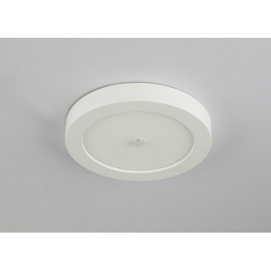 Globo 41605-18S - LED-Außendeckenleuchte mit Sensor PAULA 1xLED/18W/230V