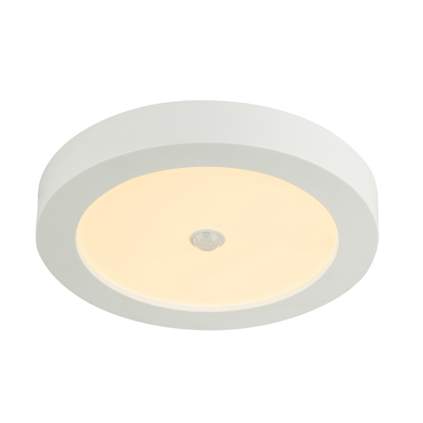 Globo - Plafoniera LED da esterno con sensore LED/18W/230V IP44