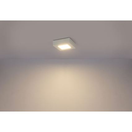 Globo - Plafonnier SVENJA 1xLED/9W/230V 3000/4000/6000K