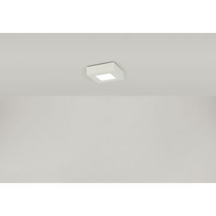 Globo - Plafonnier SVENJA 1xLED/9W/230V 3000/4000/6000K