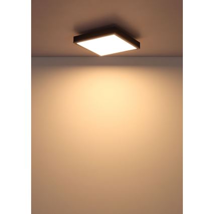 Globo - Plafonnier LED/12W/230V 3000K 30x30 cm