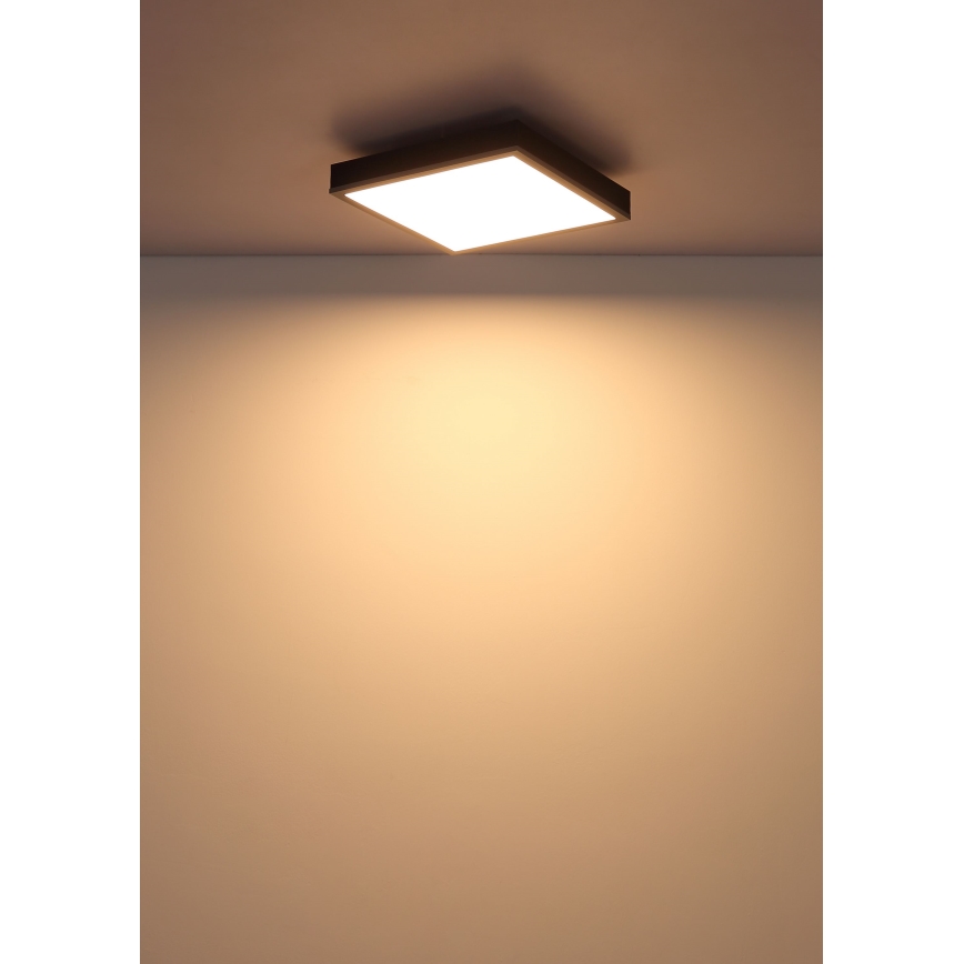 Globo - Plafonnier LED/12W/230V 3000K 30x30 cm