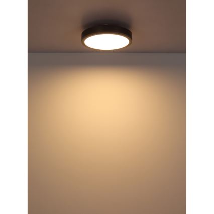 Globo - Plafonnier LED/12W/230V 3000K d. 30 cm