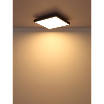 Globo - Plafoniera LED LED/24W/230V 3000K 45x45 cm