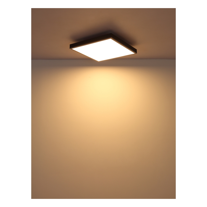 Globo - Plafoniera LED LED/24W/230V 3000K 45x45 cm