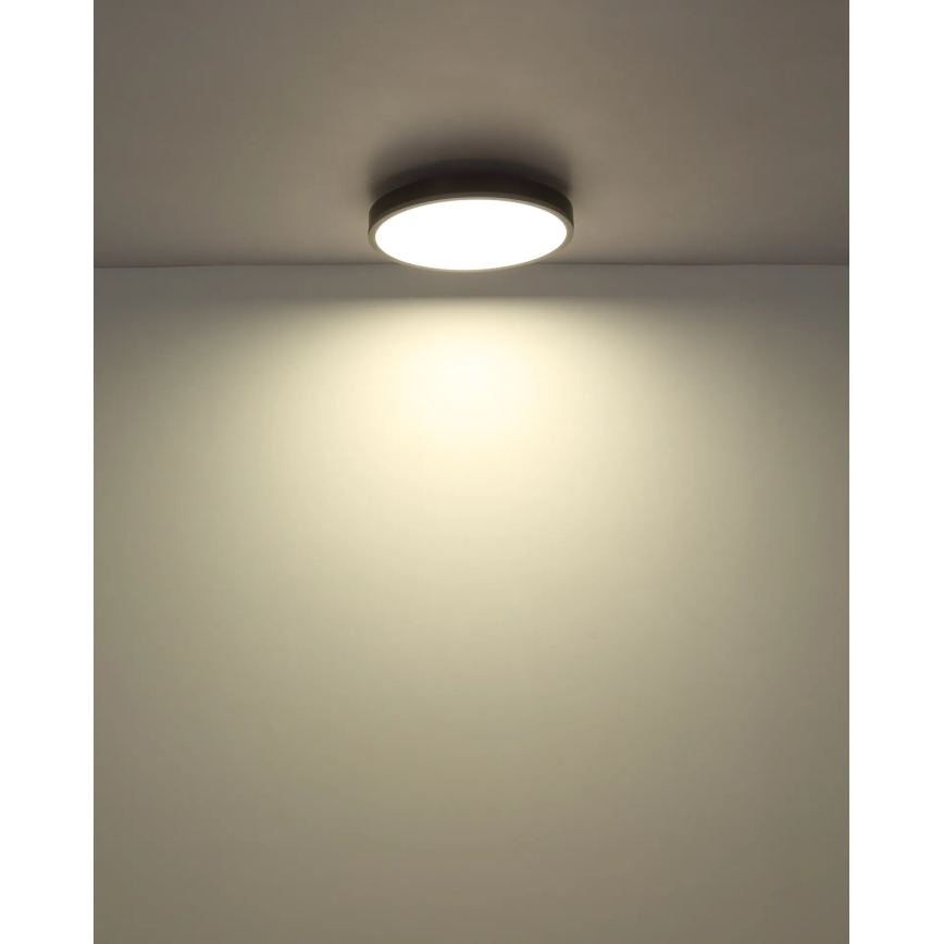Globo - dimmbare LED-Deckenleuchte LED/24W/230V 2700-6500K Ø 45 cm + Fernbedienung