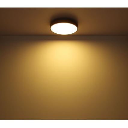 Globo - LED-Deckenleuchte /12W/230V d. 30 cm