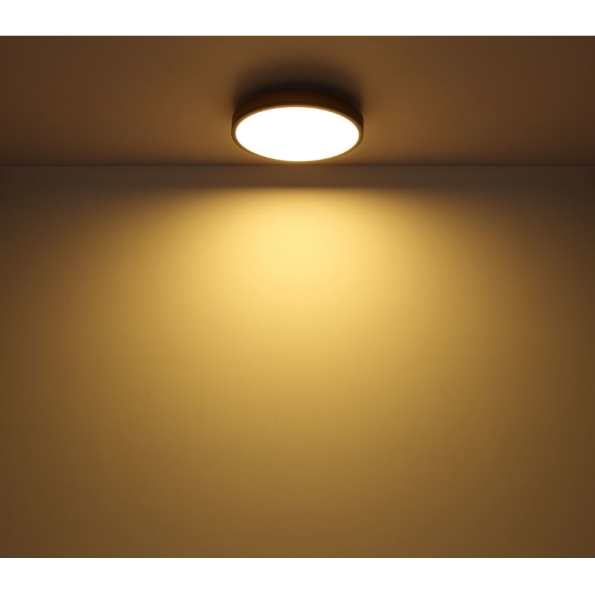 Globo - LED-Deckenleuchte /12W/230V d. 30 cm