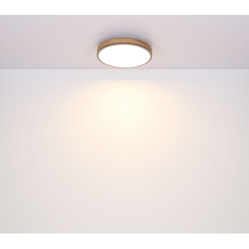 Globo - LED-Deckenleuchte /12W/230V d. 30 cm