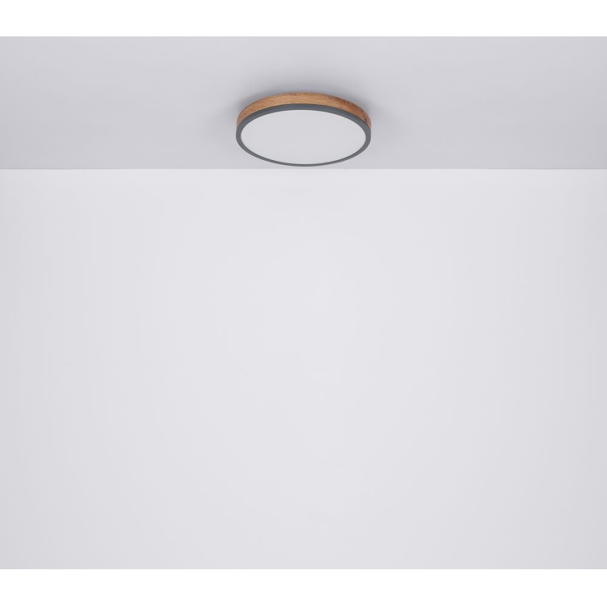 Globo - LED-Deckenleuchte /12W/230V d. 30 cm