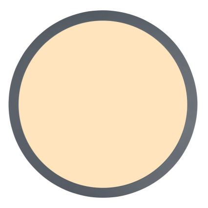Globo - LED-Deckenleuchte /12W/230V d. 30 cm