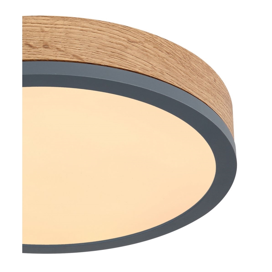 Globo - LED-Deckenleuchte /12W/230V d. 30 cm