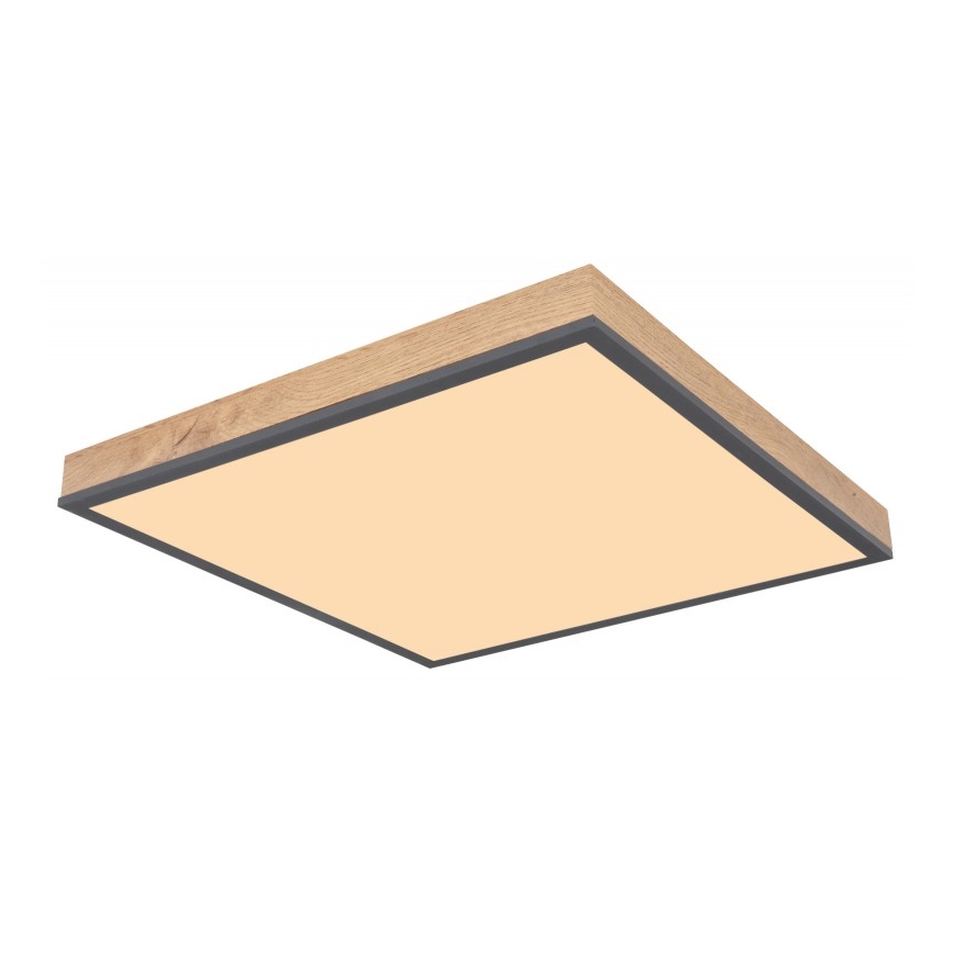 Globo - LED-Deckenleuchte LED/24W/230V