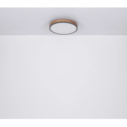 Globo - dimmbare LED-Deckenleuchte LED/24W/230V 2700-6500K Ø 45 cm