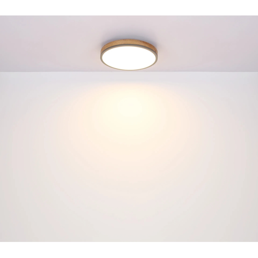 Globo - Plafoniera LED dimmerabile 24W/230V 2700-6500K diam. 45 cm