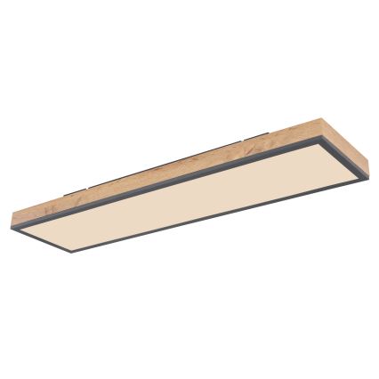 Globo - Plafoniera LED dimmerabile LED/24W/230V 2700-6500K + telecomando