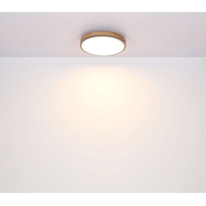 Globo - Dimmbare LED-Deckenleuchte LED/40W/230V 2700-6500K d 60 cm + Fernbedienung braun/grau
